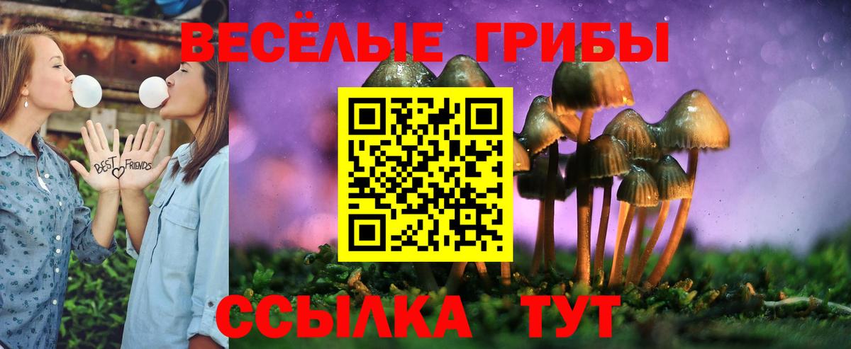 Сухой Лог  Галлюциногенные грибы ЛСД  Вход с VPN 